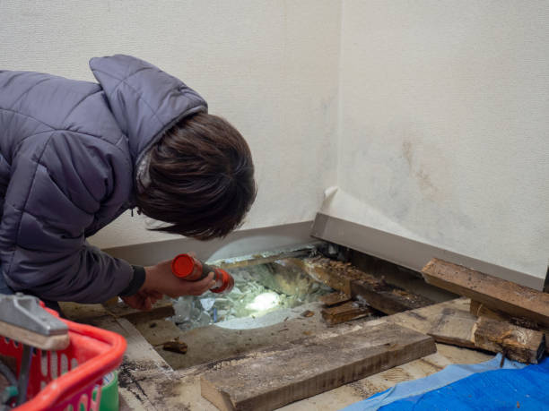 Best Biohazard Mold Removal  in John Day, OR