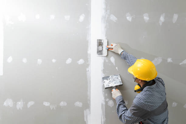 Best Black Mold Removal  in John Day, OR