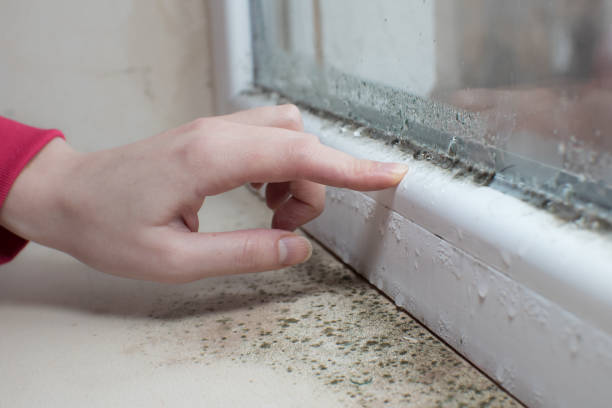 Best Industrial Mold Remediation  in John Day, OR