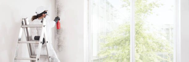 Best Air Quality Testing for Mold Spores  in John Day, OR